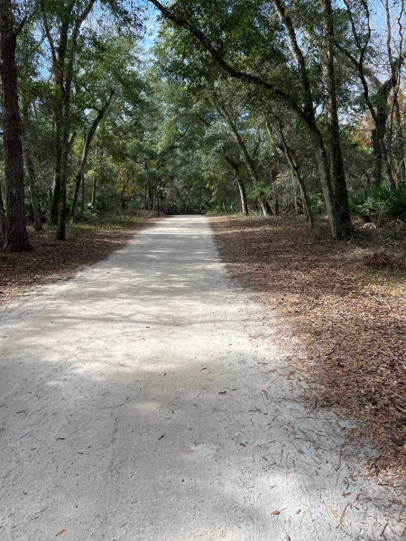 walking near me in Guana River Wildlife Managment Area in winter