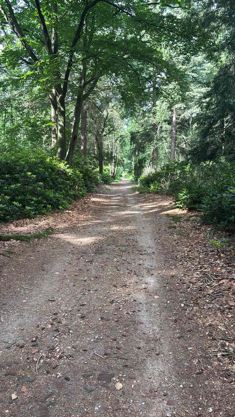 walking near me in Geologenstrook in spring