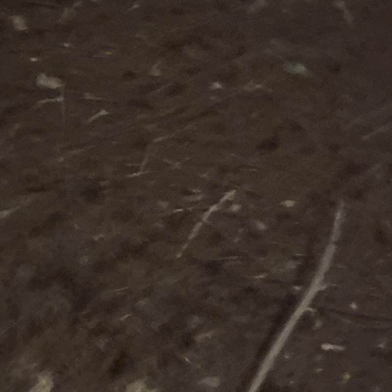 hungrymungry77 post 1