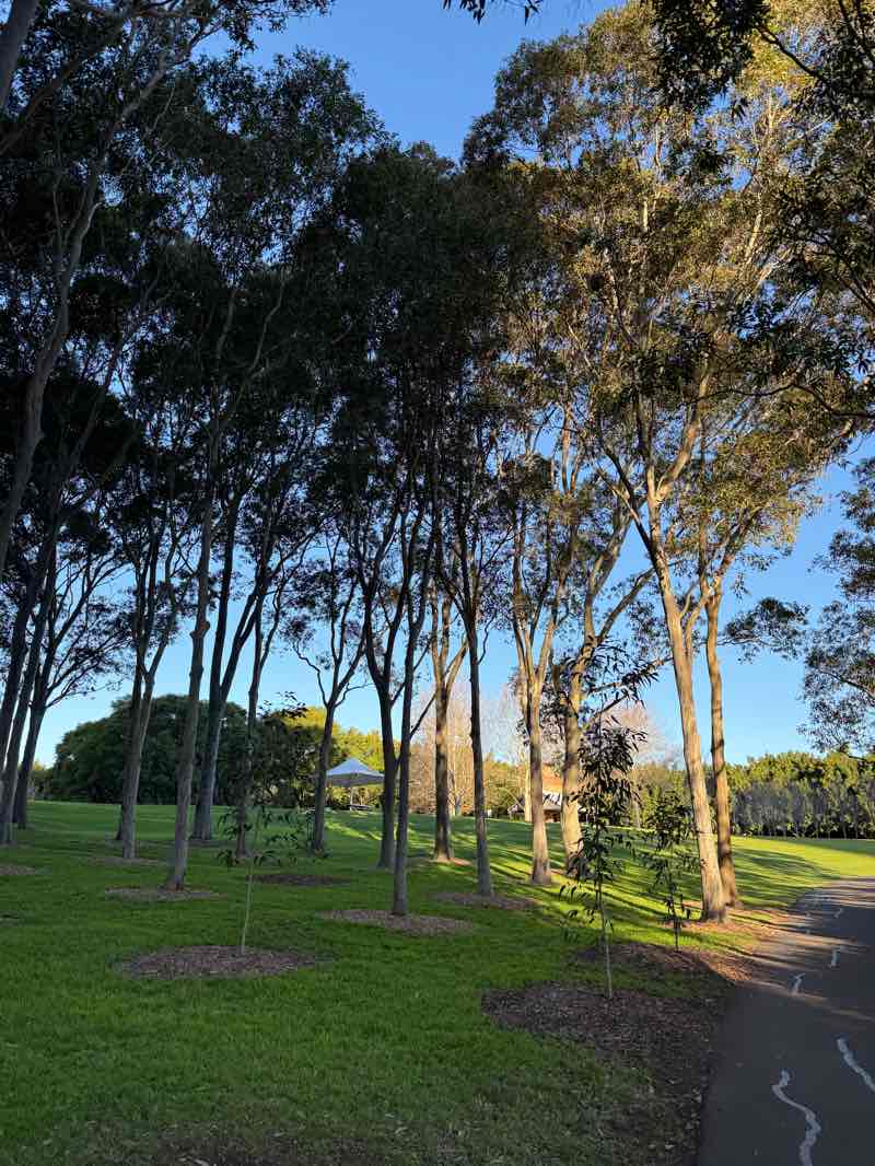 walking near me in Bicentennial Park in winter