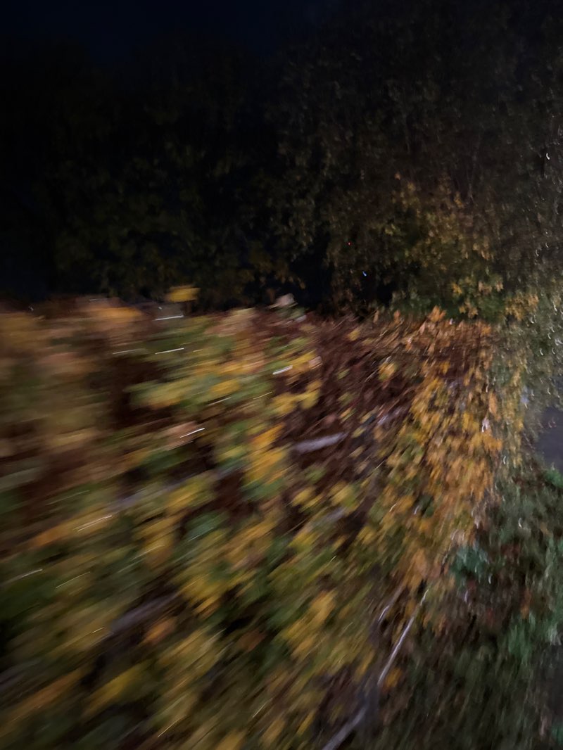 walking near me in Father Collins Park in autumn