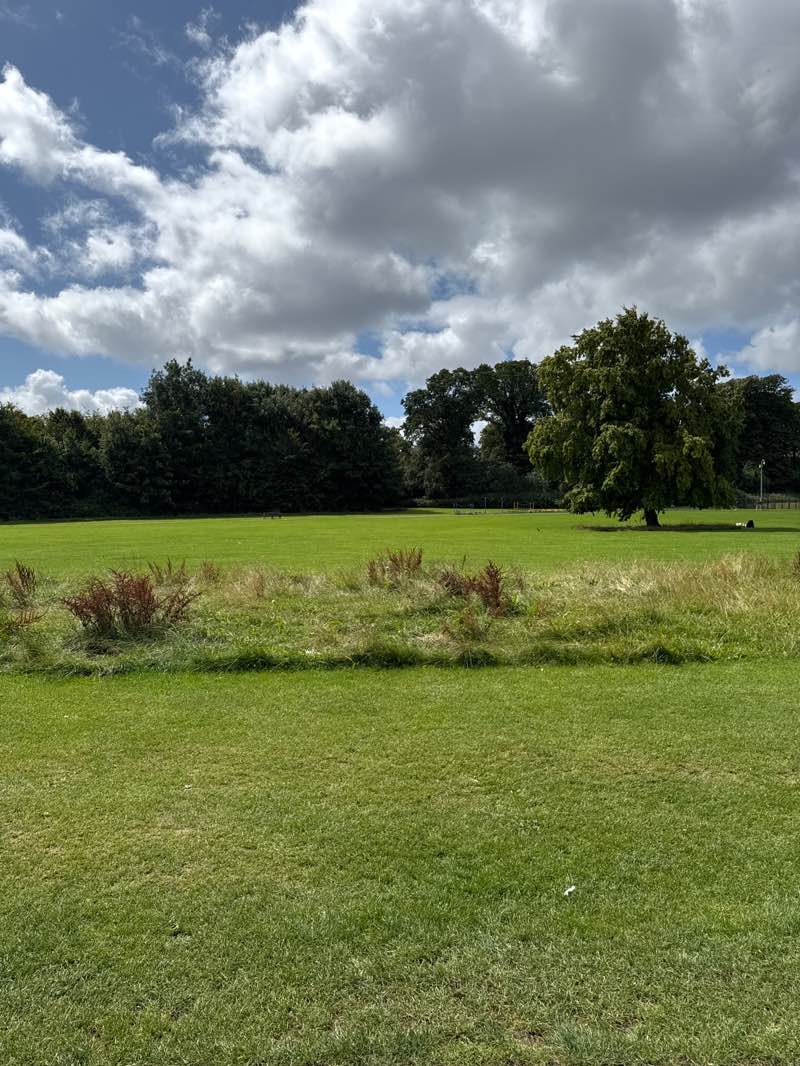walking near me in Santry Demesne in autumn