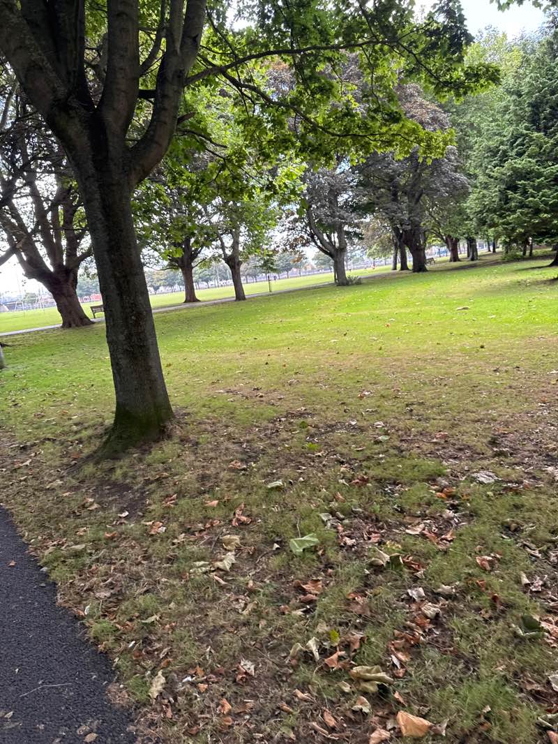 walking near me in Fairview Park in autumn