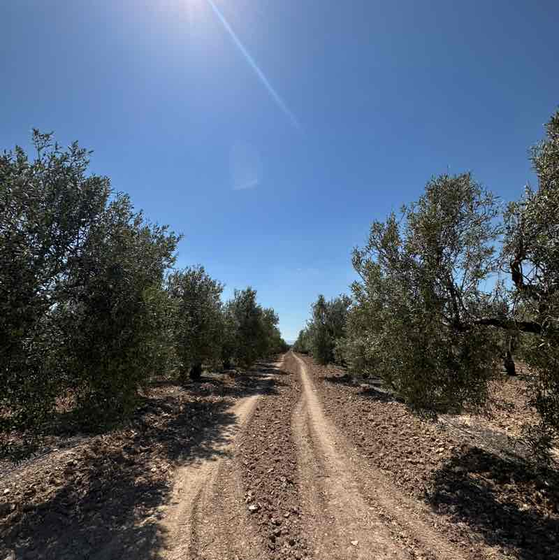 BP Fitness maricoragui post image