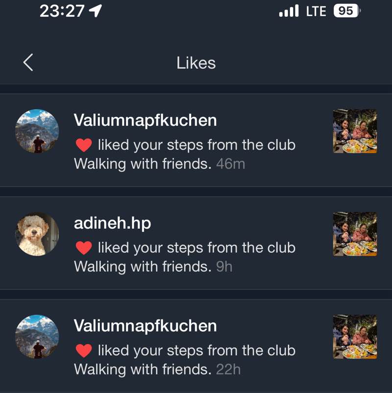 Walking with friends Fafa post image