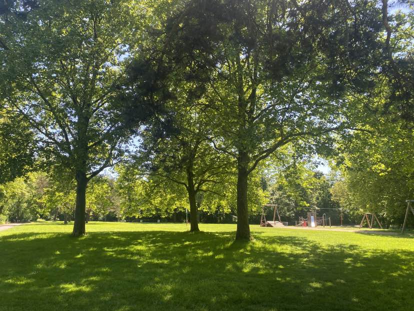 walking near me in Toni-Steingass-Park in spring