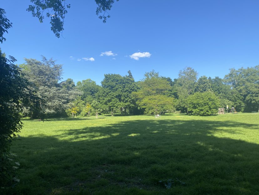 walking near me in Weidenpescher Park in spring