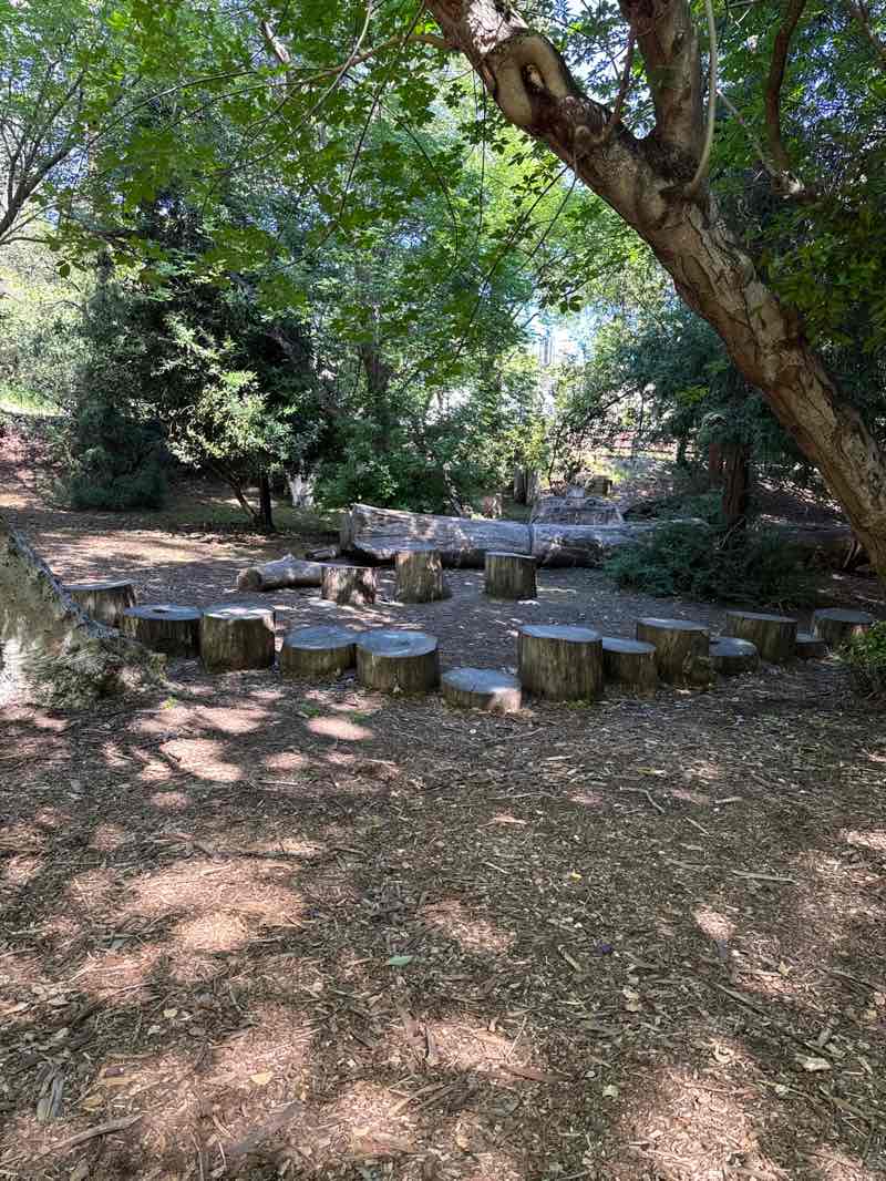 walking near me in Twin Pines Park in spring