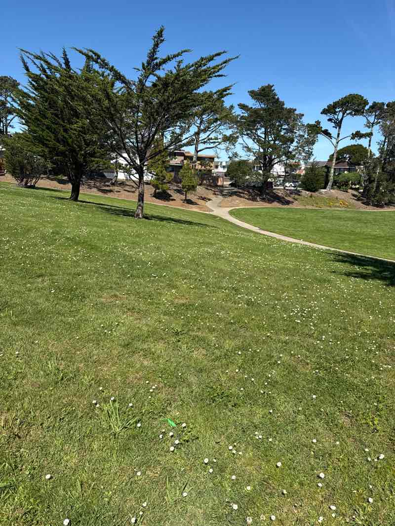 walking near me in Callan Park in spring