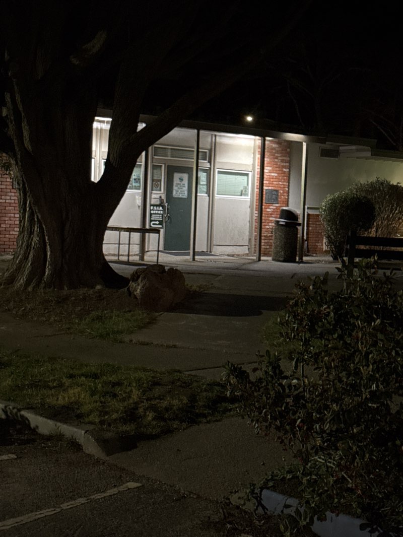 walking near me in Fairmont Park in spring