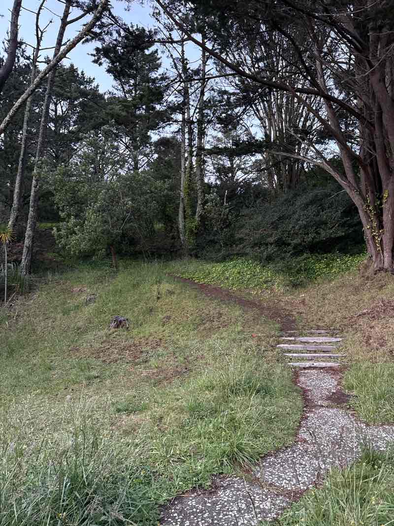 walking near me in Imperial Park in spring