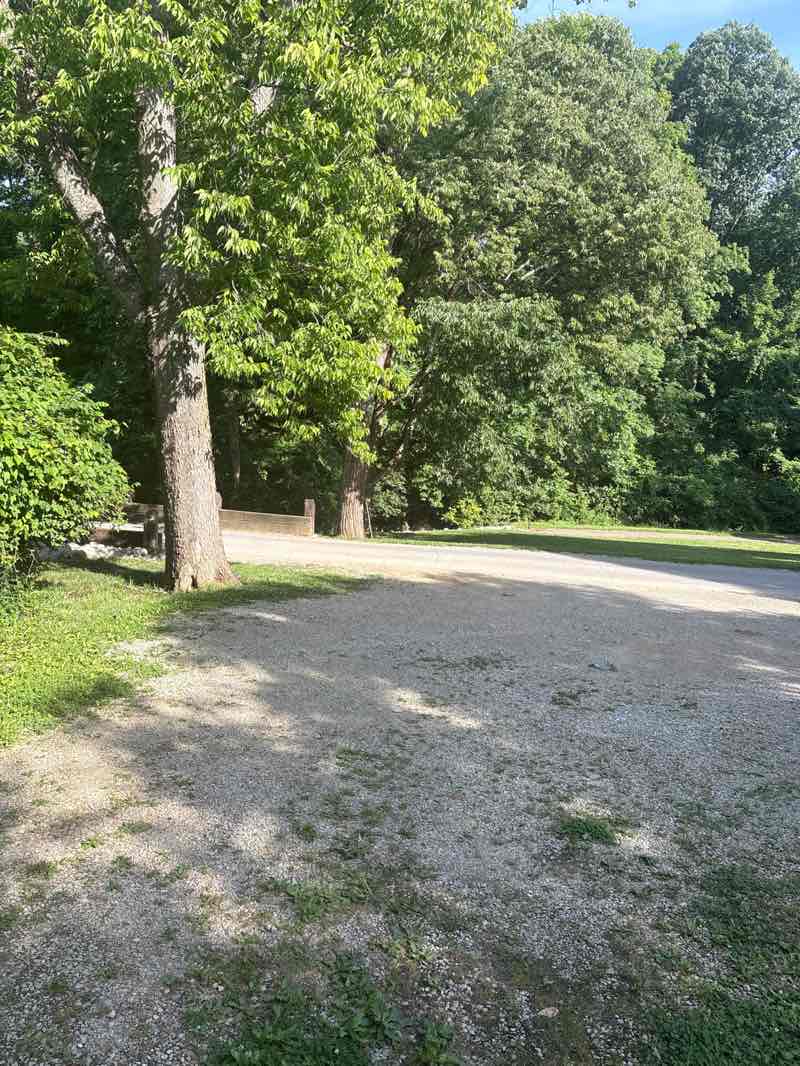walking near me in French Park in summer