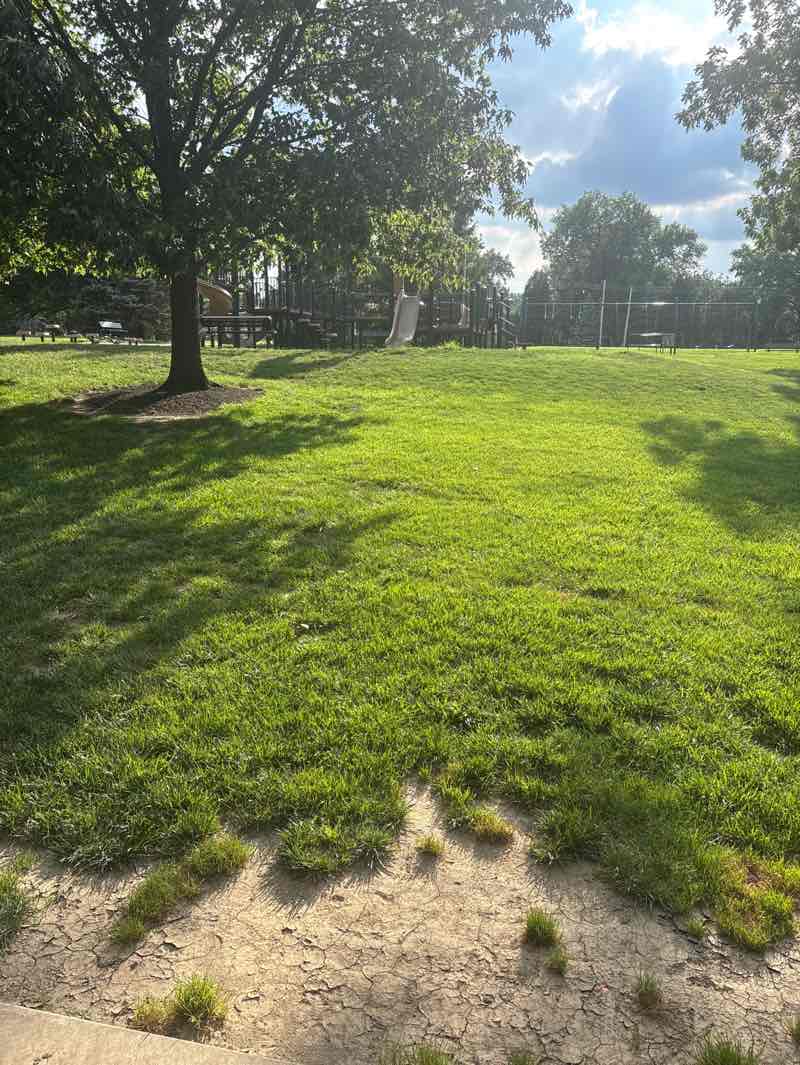 walking near me in Bechtold Park in summer