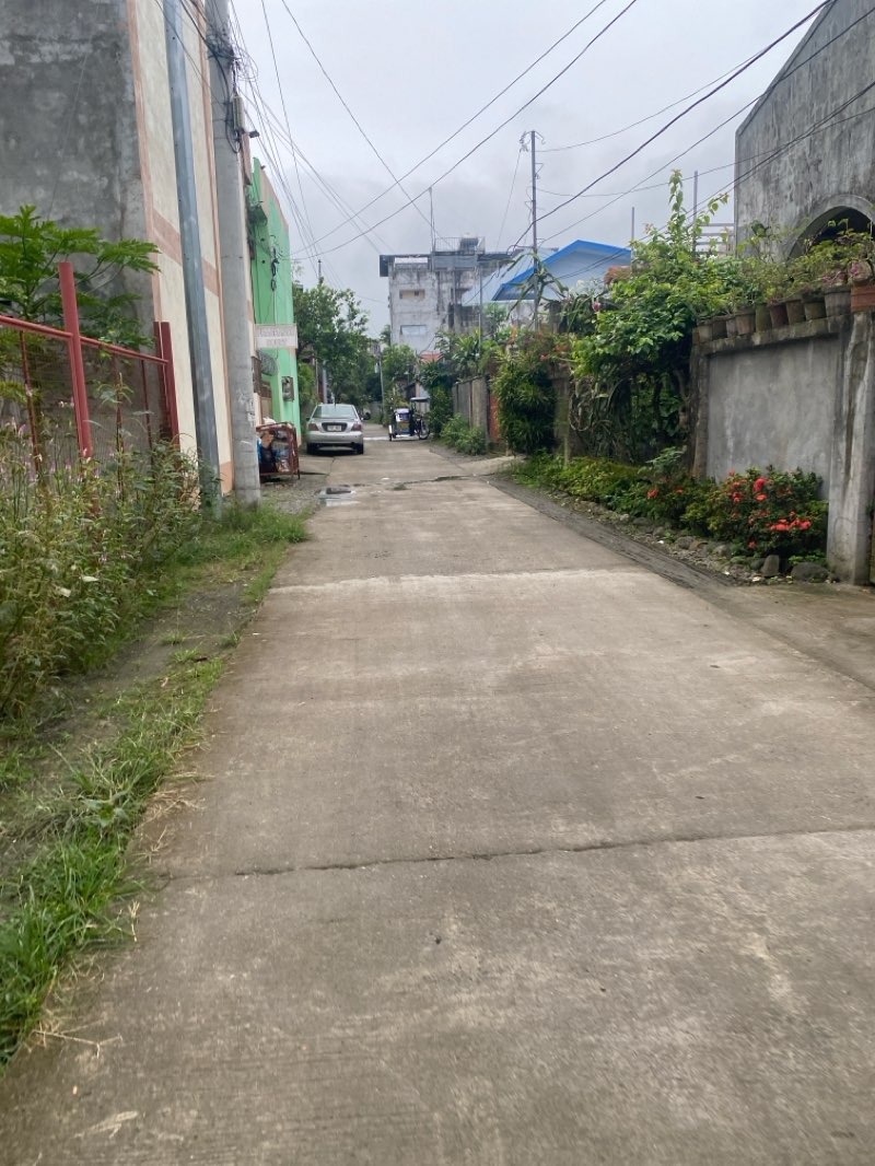 walking near me in Ammungan Park in winter