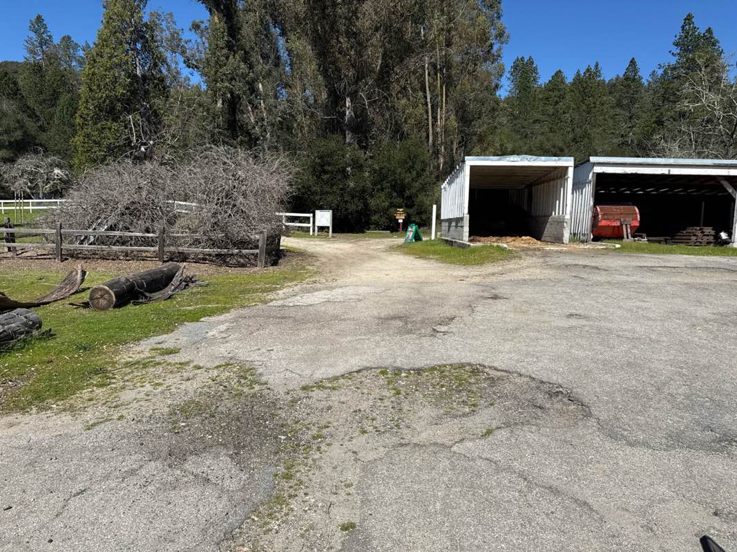 walking near me in Quail Hollow Ranch Park in spring