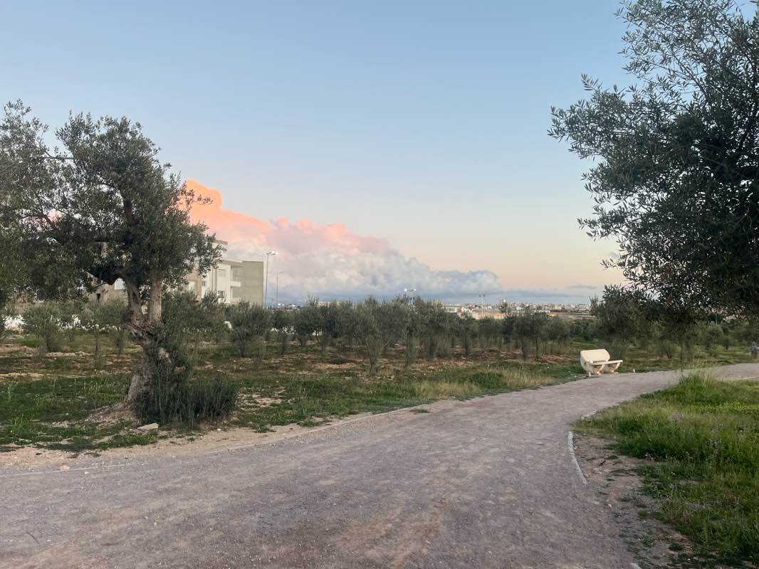 walking near me in Parc Sahloul in winter