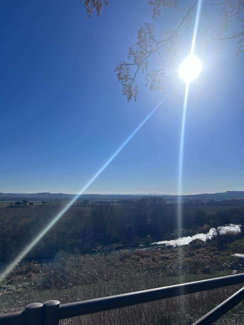 walking near me in Parque Europa in winter