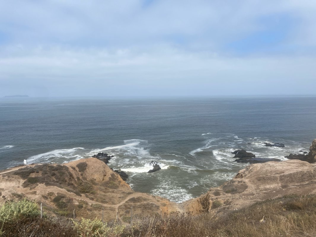 walking near me in Parque Mexico in summer