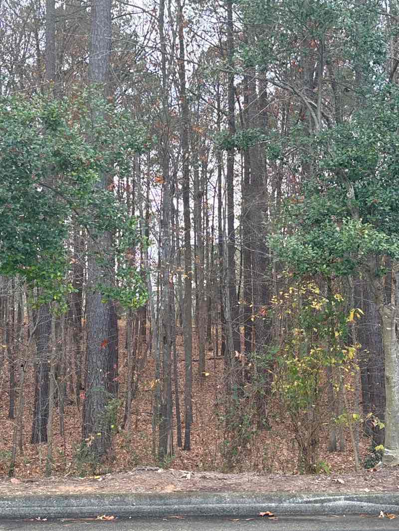 walking near me in Bond Park in autumn