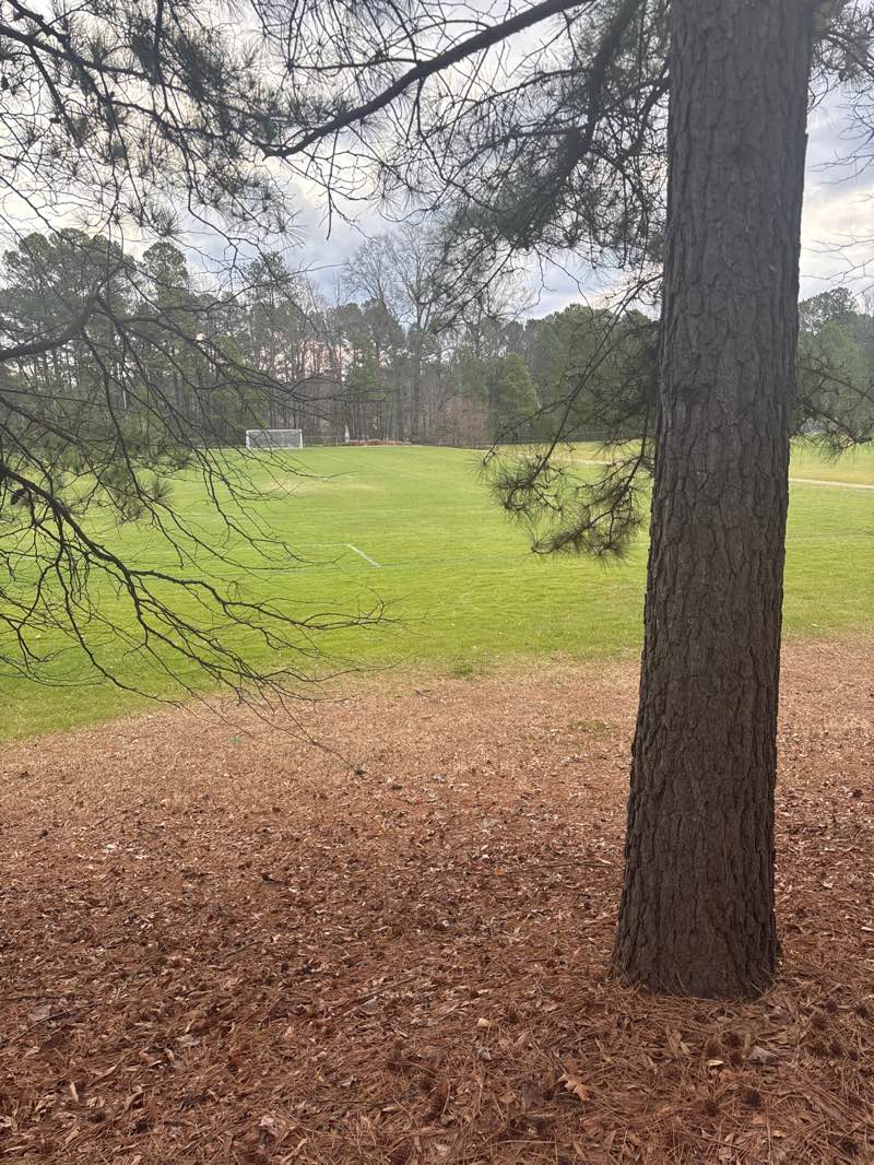 walking near me in Davis Drive Park in winter