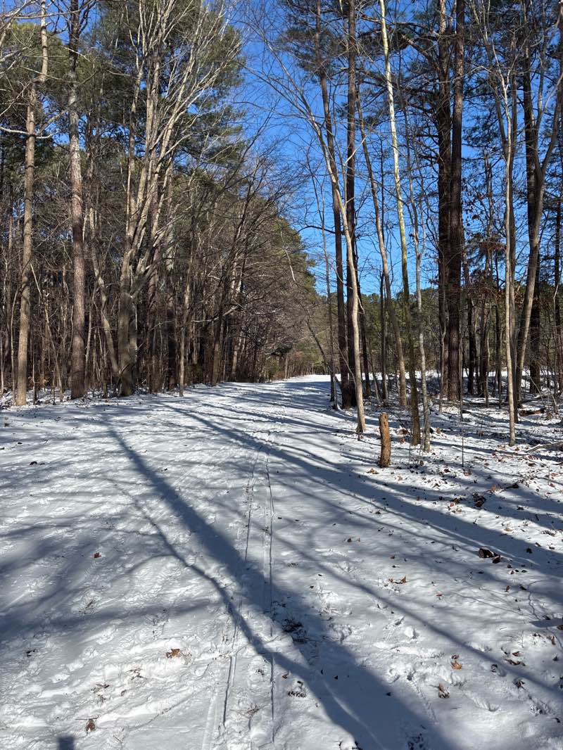 walking near me in Bond Park in winter