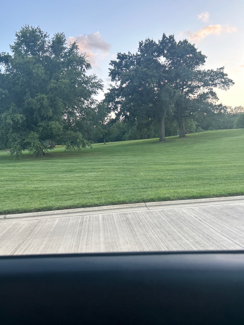 walking near me in Arlington Ridge Park in autumn