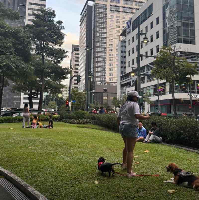 Vigin Rachele J. Ynion post 3