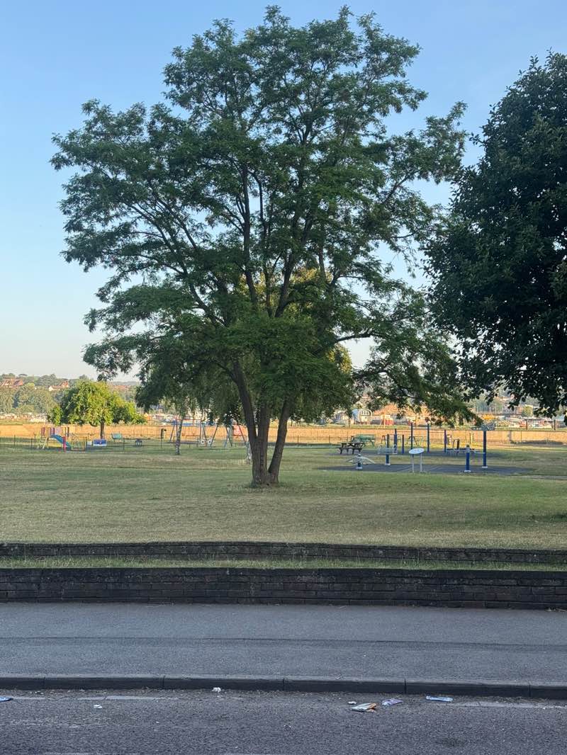 walking near me in Esplanade Gardens in summer