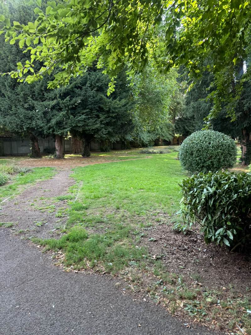 walking near me in Manor Road Park in autumn