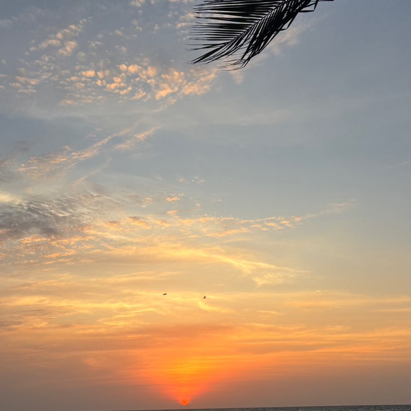 Sara Bahbaishi post 1