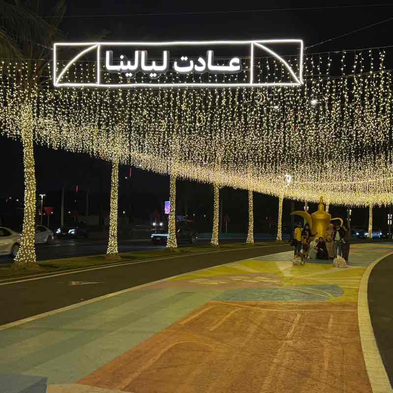 Sara Bahbaishi post 1