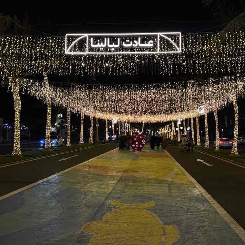 Sara Bahbaishi post 2