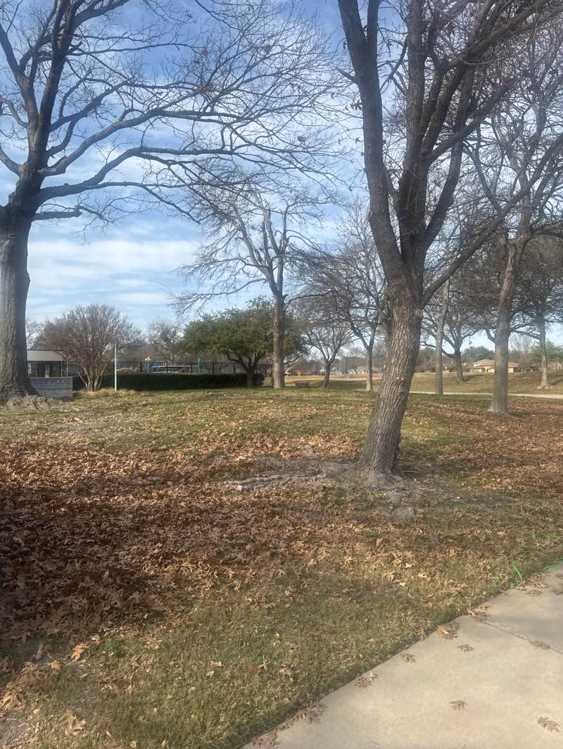 walking near me in Glenville Park in winter