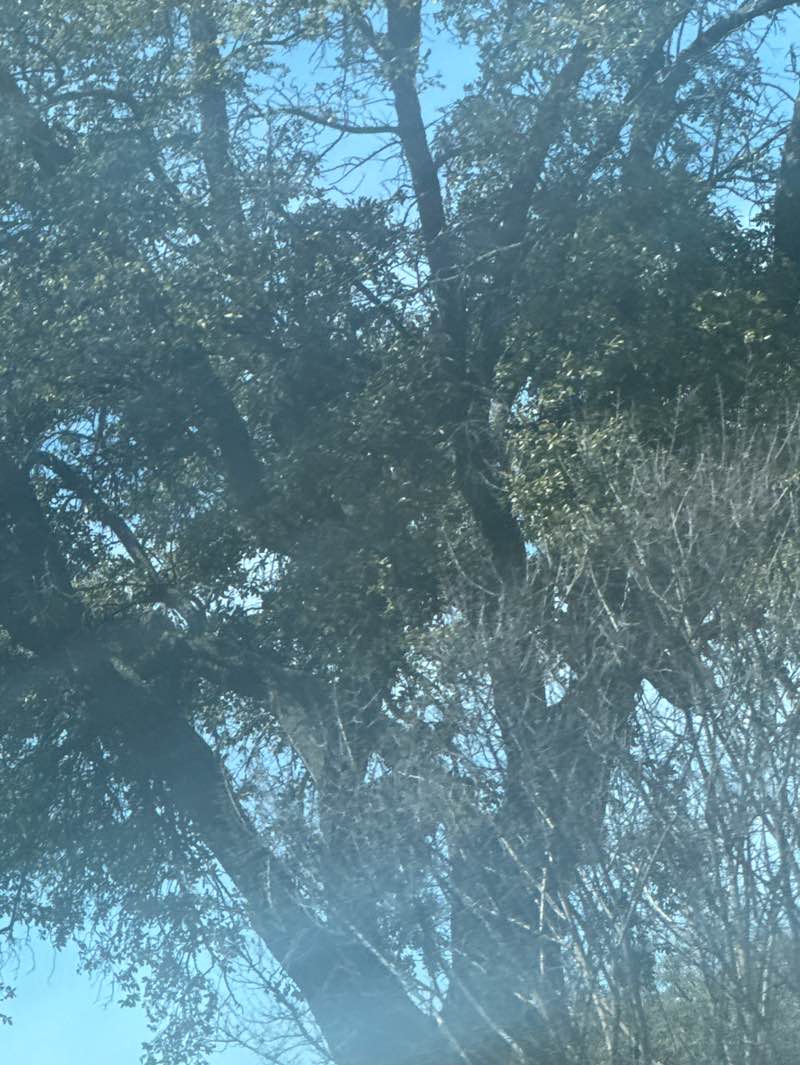 walking near me in Berkner Park in spring