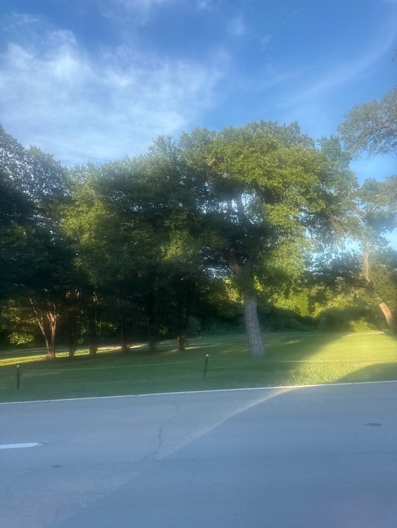 walking near me in Fort Worth Botanic Garden in summer