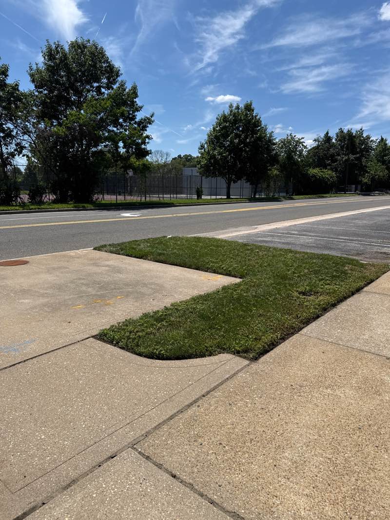 walking near me in Bethpage Community Park in summer