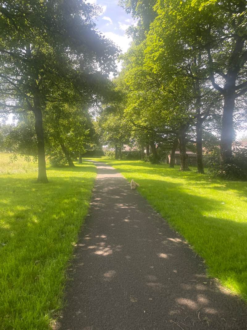 walking near me in McGavin Park in summer