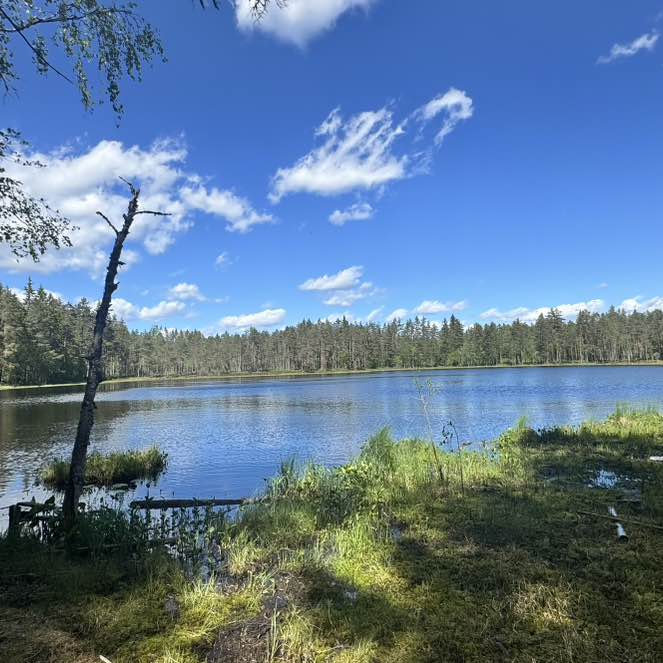 🇳🇴 NORWAY 🇳🇴 Rio Angelica post image