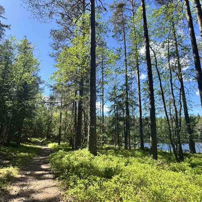 🇳🇴 NORWAY 🇳🇴 Rio Angelica post image