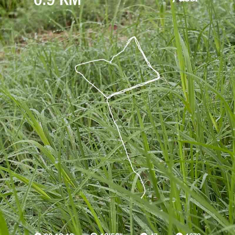 Anj Meneses - Pintuan post 1