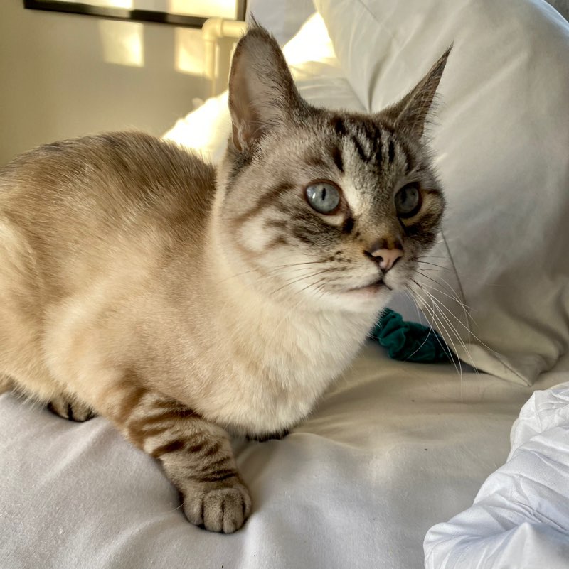 Lil Sam Duda profile