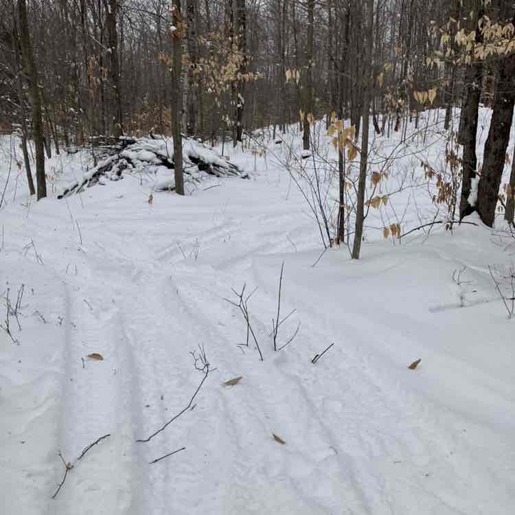 Cuisi-n-art France Boyer post image