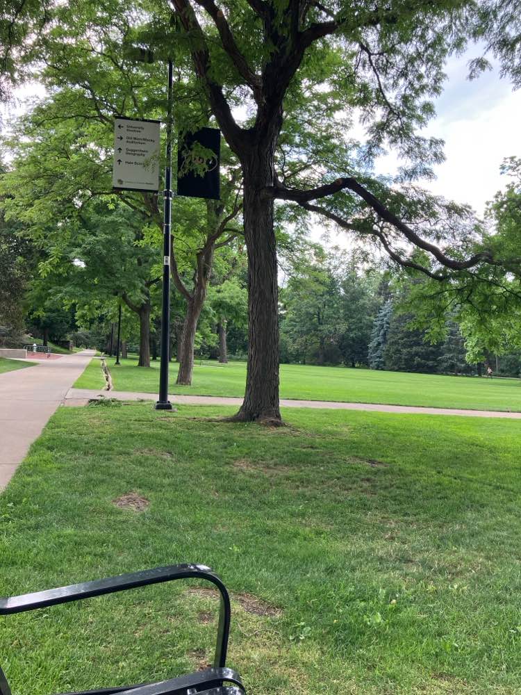 walking near me in Norlin Quad in autumn