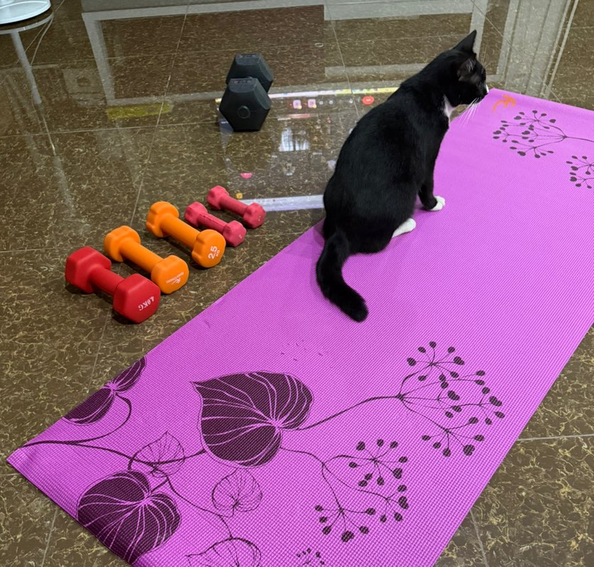 participant 2