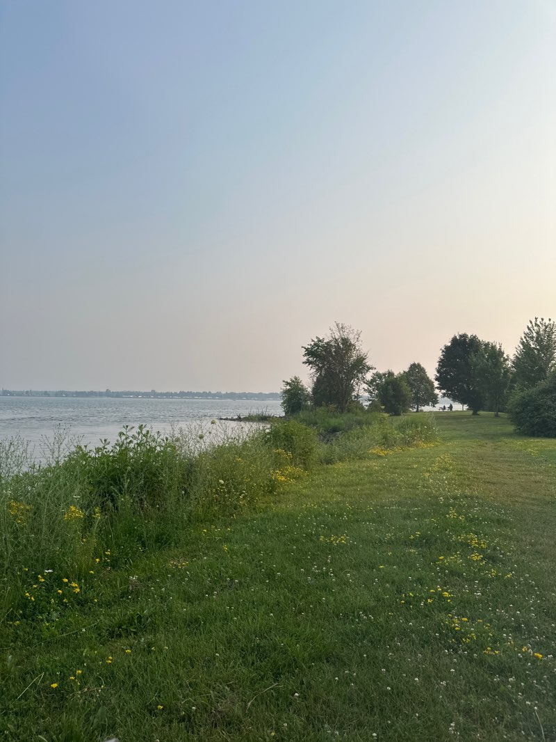 walking near me in Great Lakes Forestry Centre Arboretum in summer