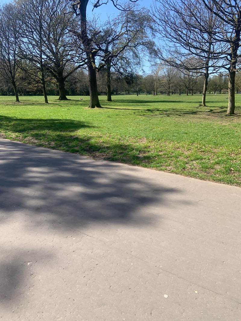 walking near me in Wythenshawe Park in spring