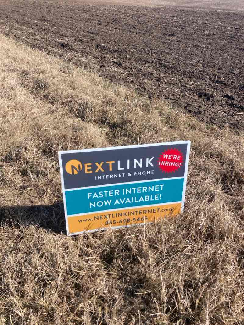 walking near me in Northeast Park in spring