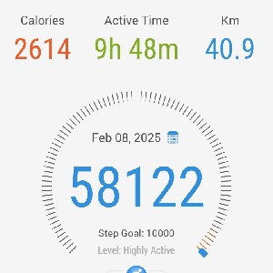 Bashir Moalim profile
