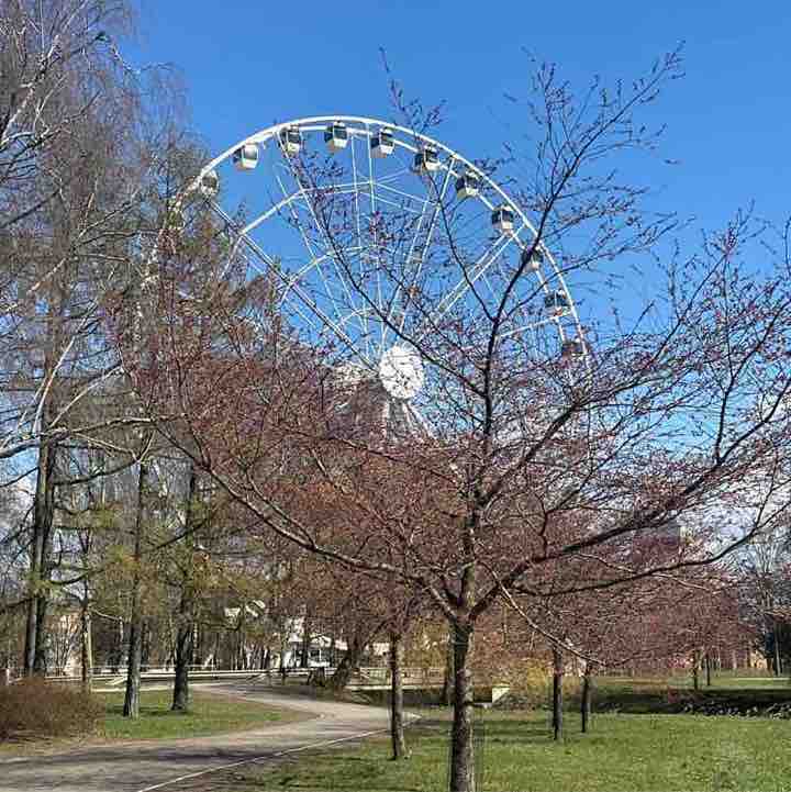 Ieva Glavāne post 1