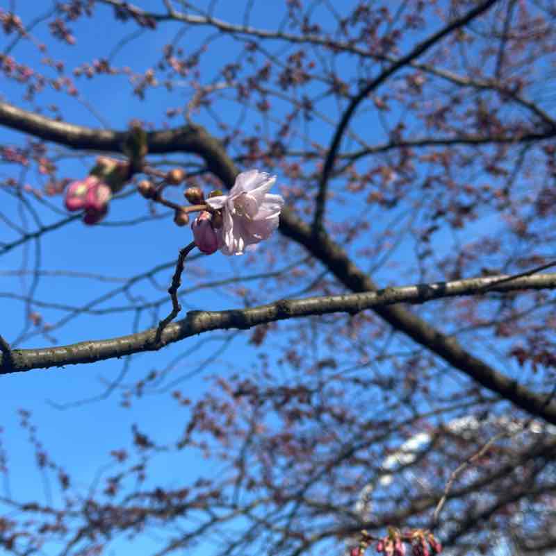 Ieva Glavāne post 2